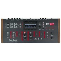 dave-smith-Prophet-12-module.jpg dave-smith-Prophet-12-module.jpg